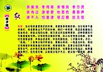 弟子规