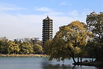 北京大学未名湖博雅塔