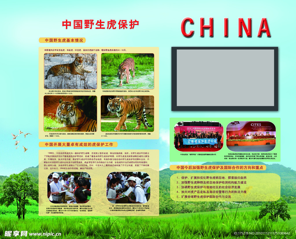 中国野生虎保护