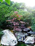 山水风景