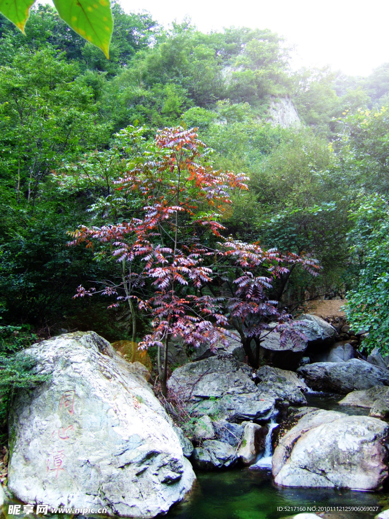 山水风景