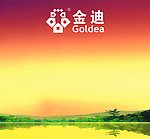 金迪墙面板报
