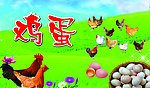 鸡蛋
