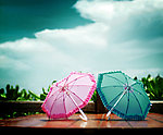 雨伞