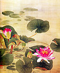 睡莲