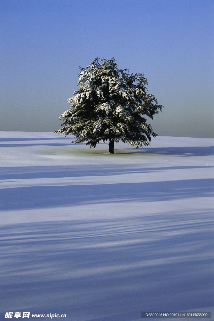 冬季雪景高清图片