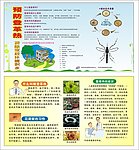 登革热