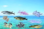 海鲜