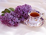 茶具茶杯茶水