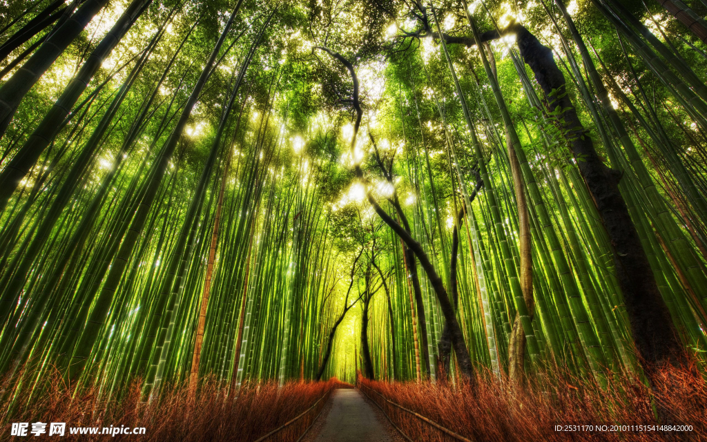 自然风景