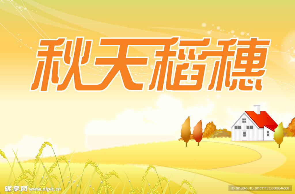 秋天稻穗