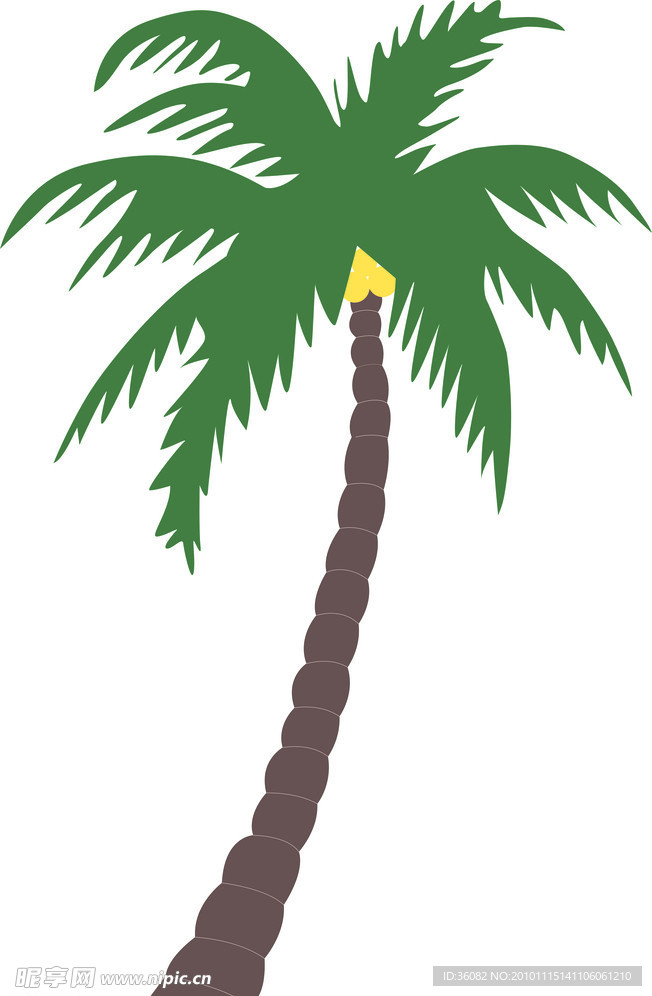 椰树
