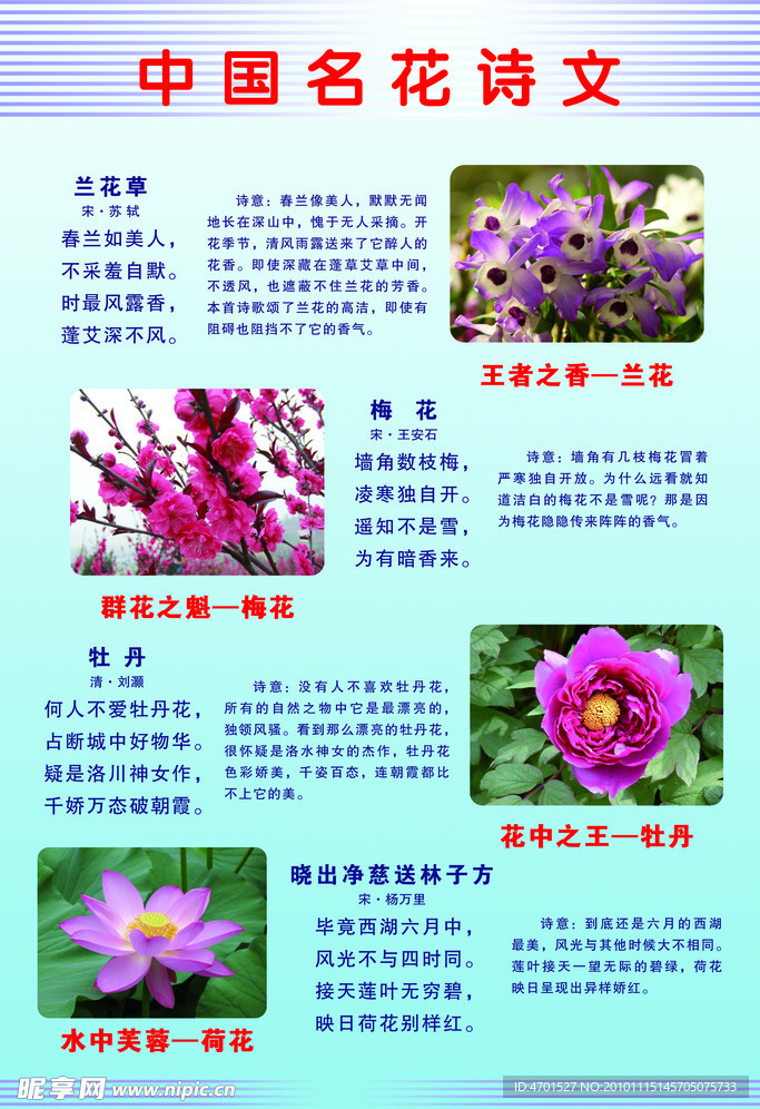 学校展板