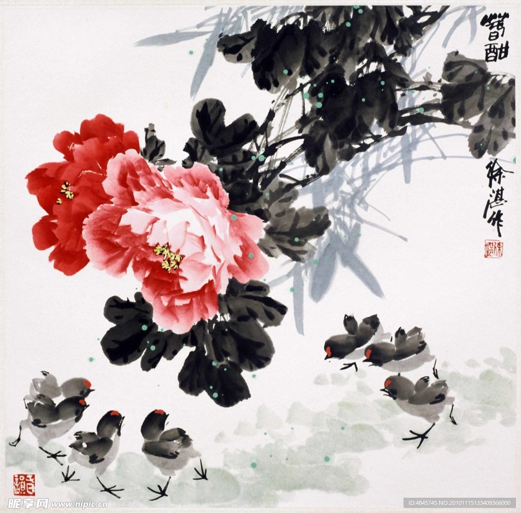牡丹