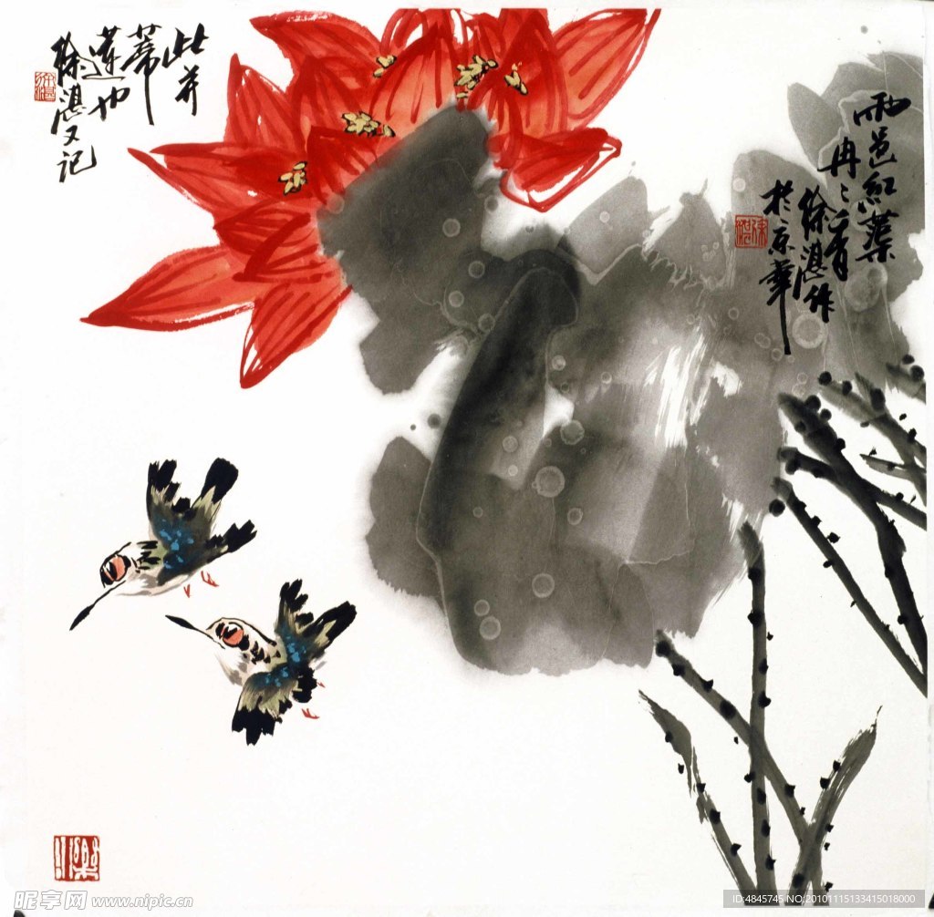双鸠莲花