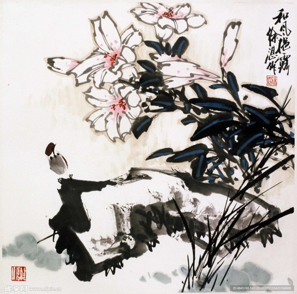 荷塘莲花