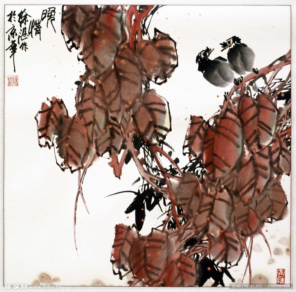 双鸠枝头