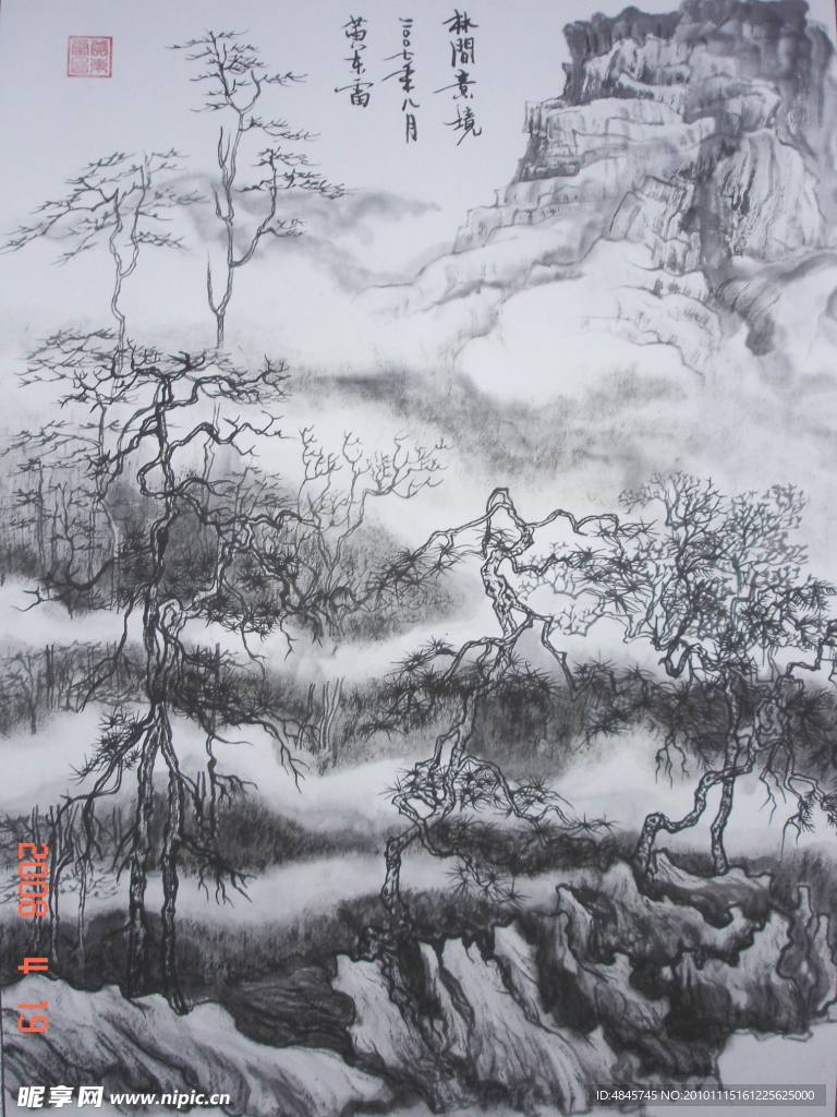 林间竟境