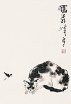 懒猫