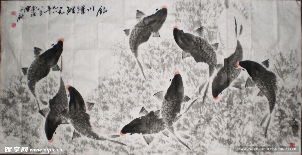 鲤鱼跳龙门