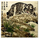酣睡猫