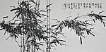 春竹