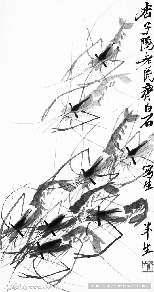 小虾