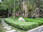 自然风景
