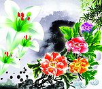 牡丹花
