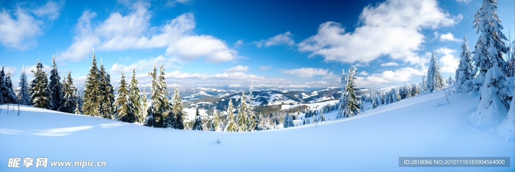 雪地