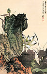 清雅