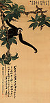 黑猿