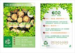绿色家装