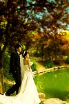 婚纱照