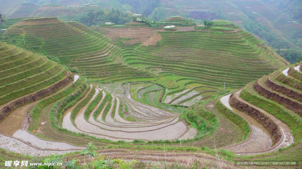 龙脊梯田