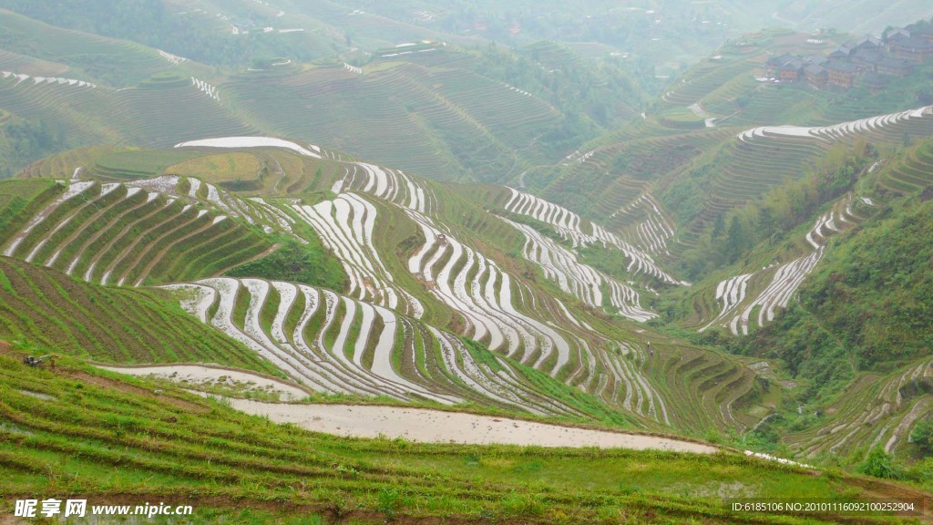 龙脊梯田