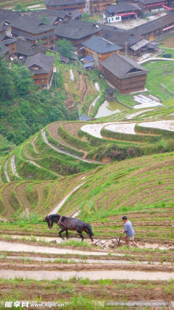 龙脊梯田