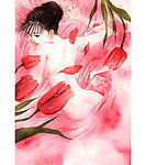 郁金香与美人