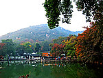 天平山枫叶