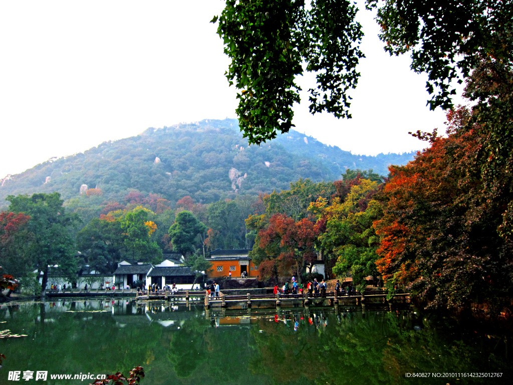 天平山枫叶