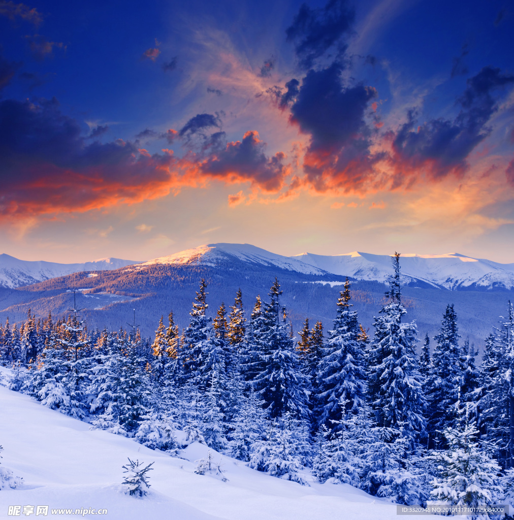 冬季 雪景 日落