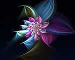绚烂之花