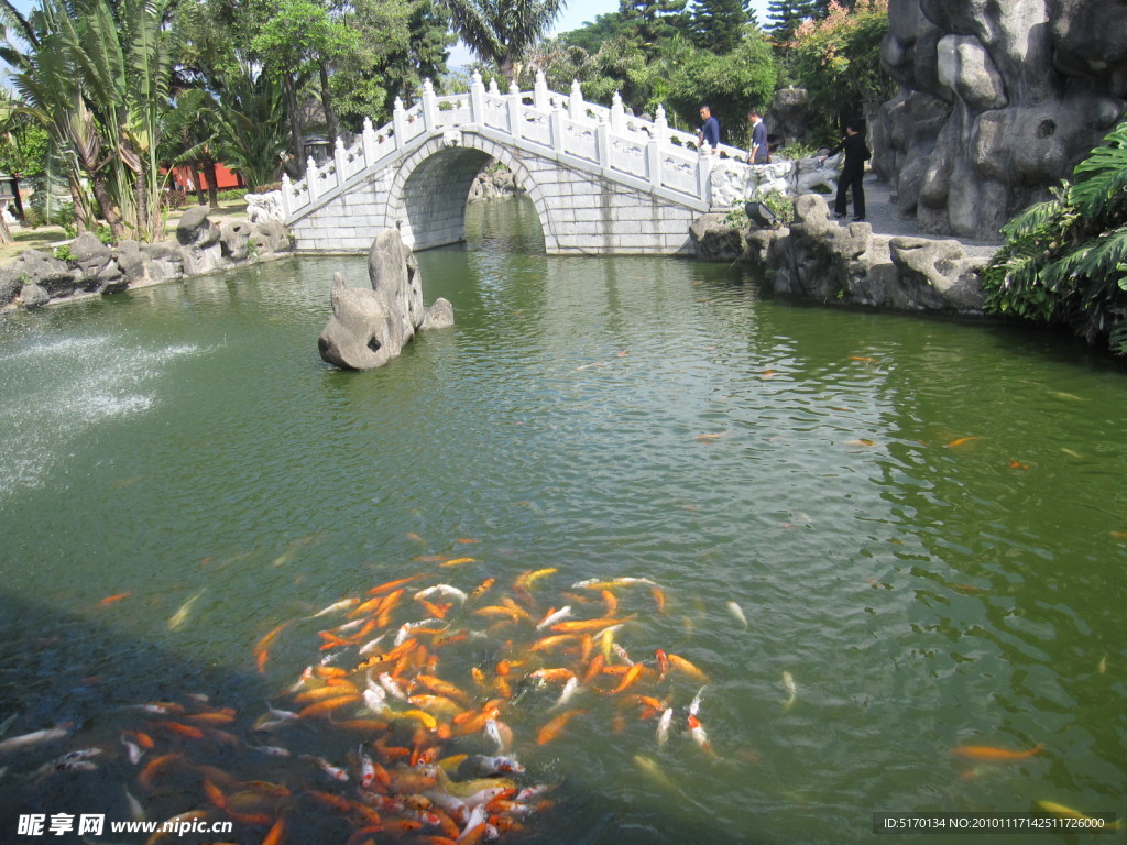 自然风景
