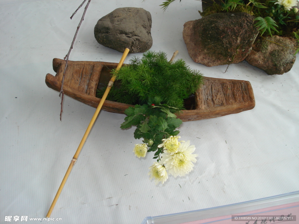 菊花