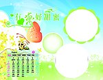 2011台历可爱宝宝