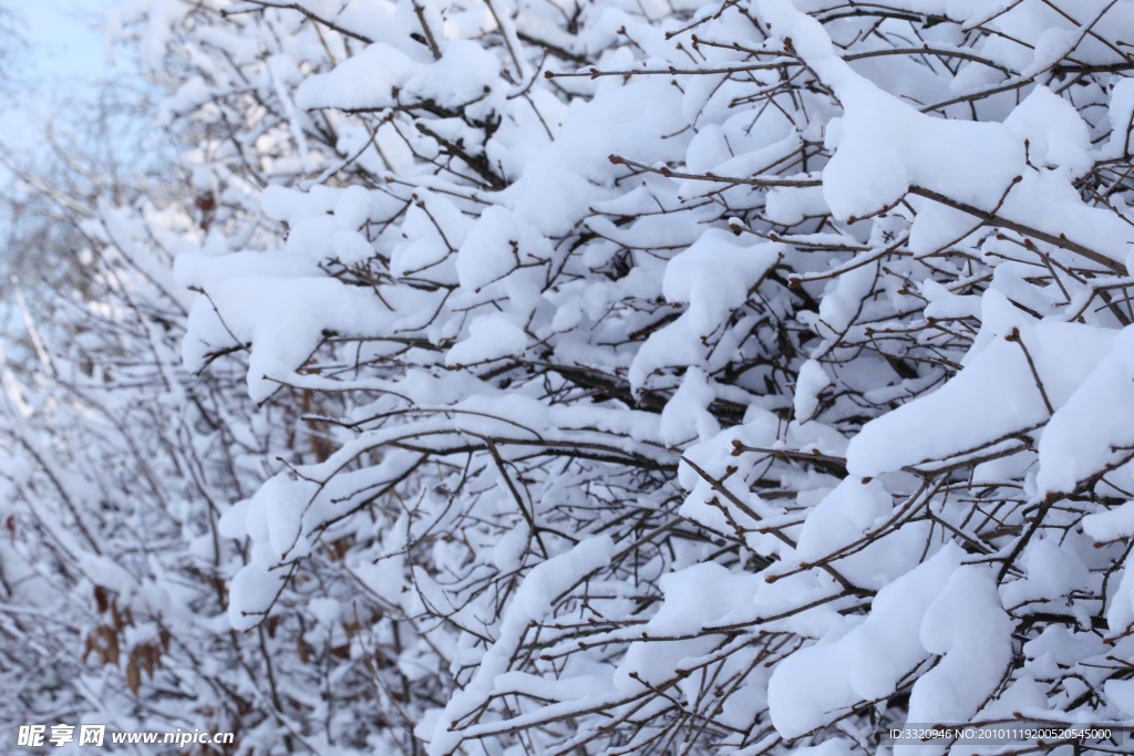 冬季雪景高清图片