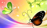 梦幻蝴蝶