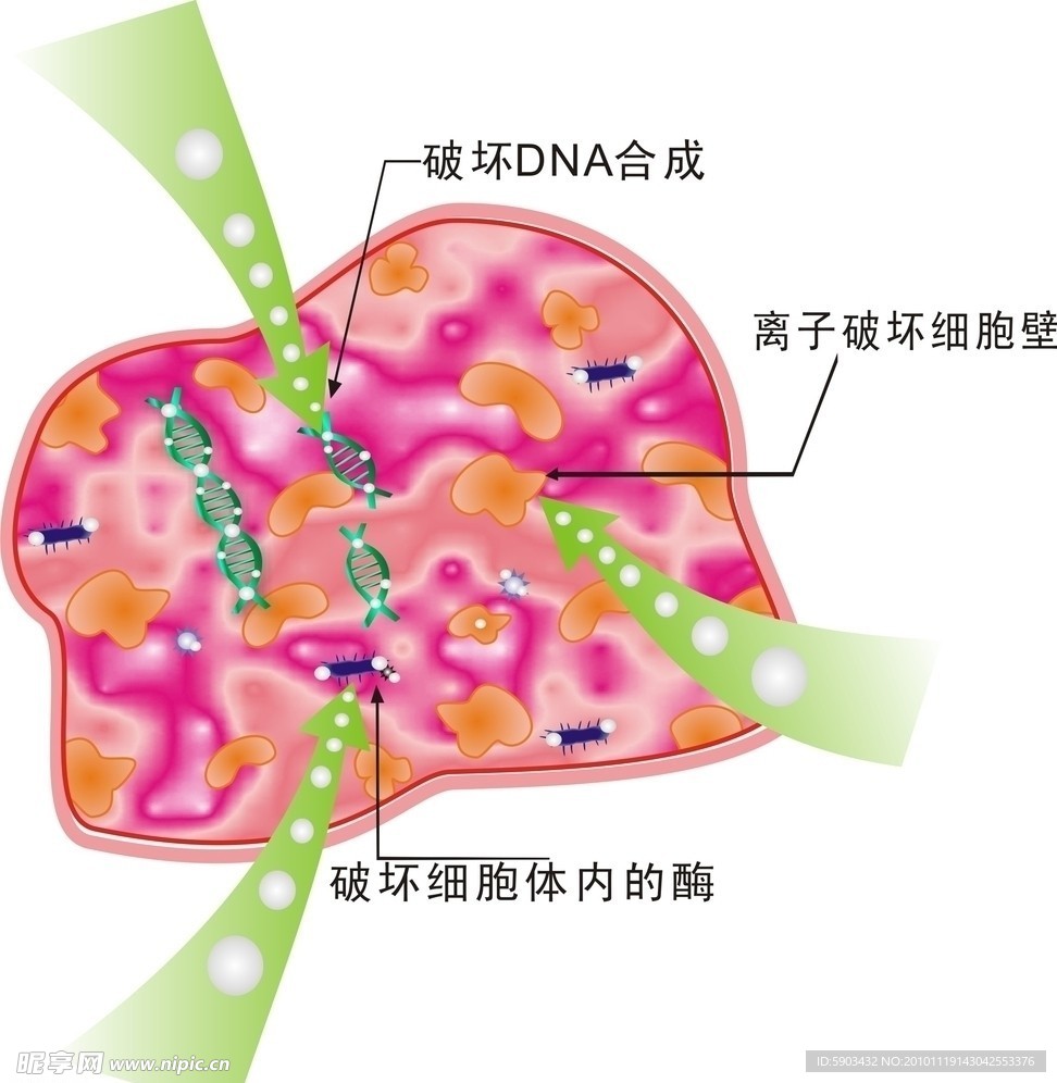 药理