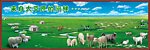 内蒙古的牛羊群