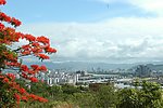 风景
